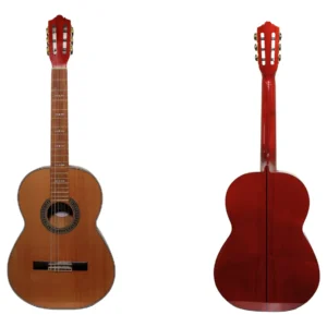 Guitarra Electroacústica GF10 Josefina